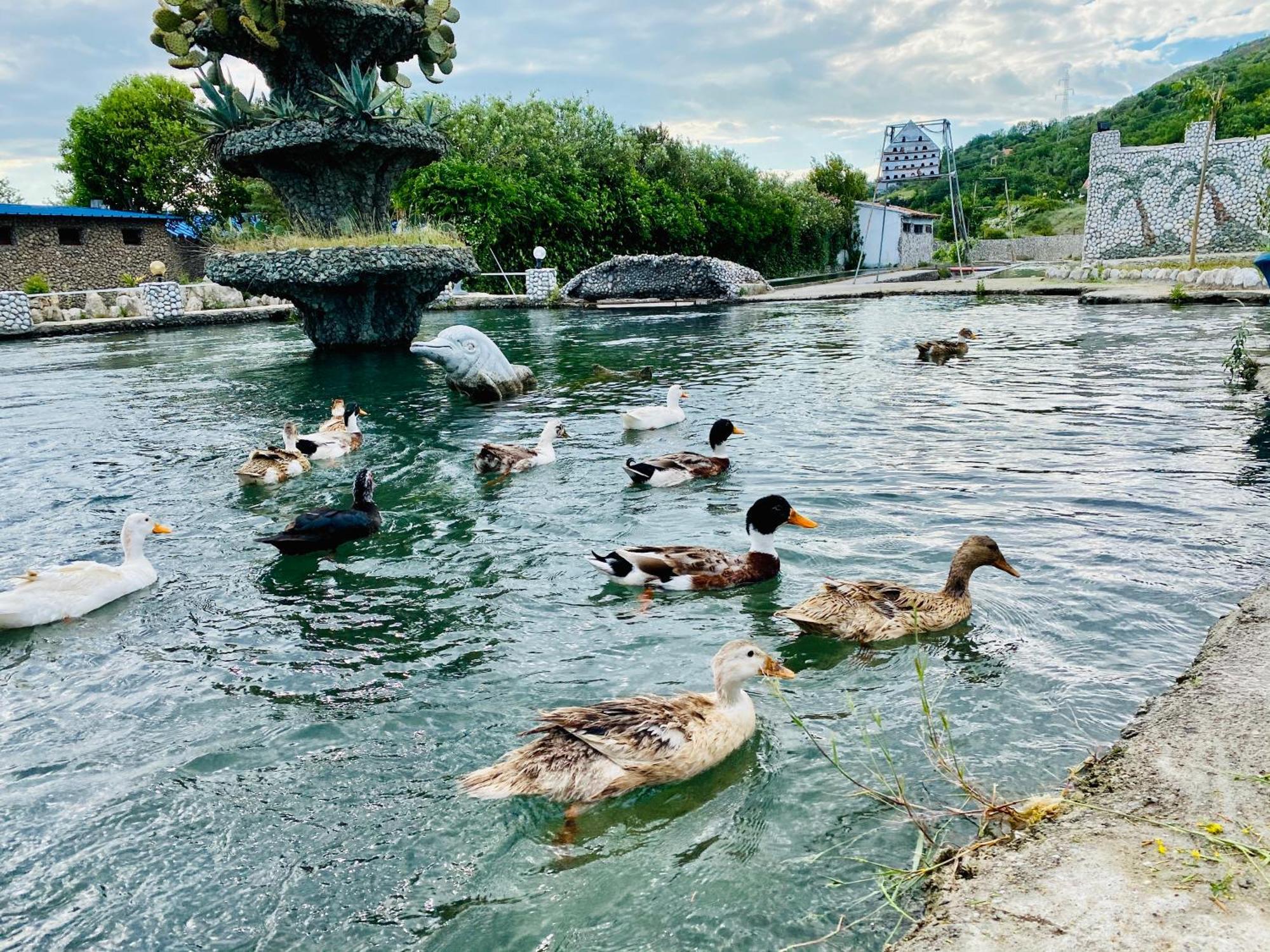 Kompleksi Turistik Dea Mjede Kültér fotó