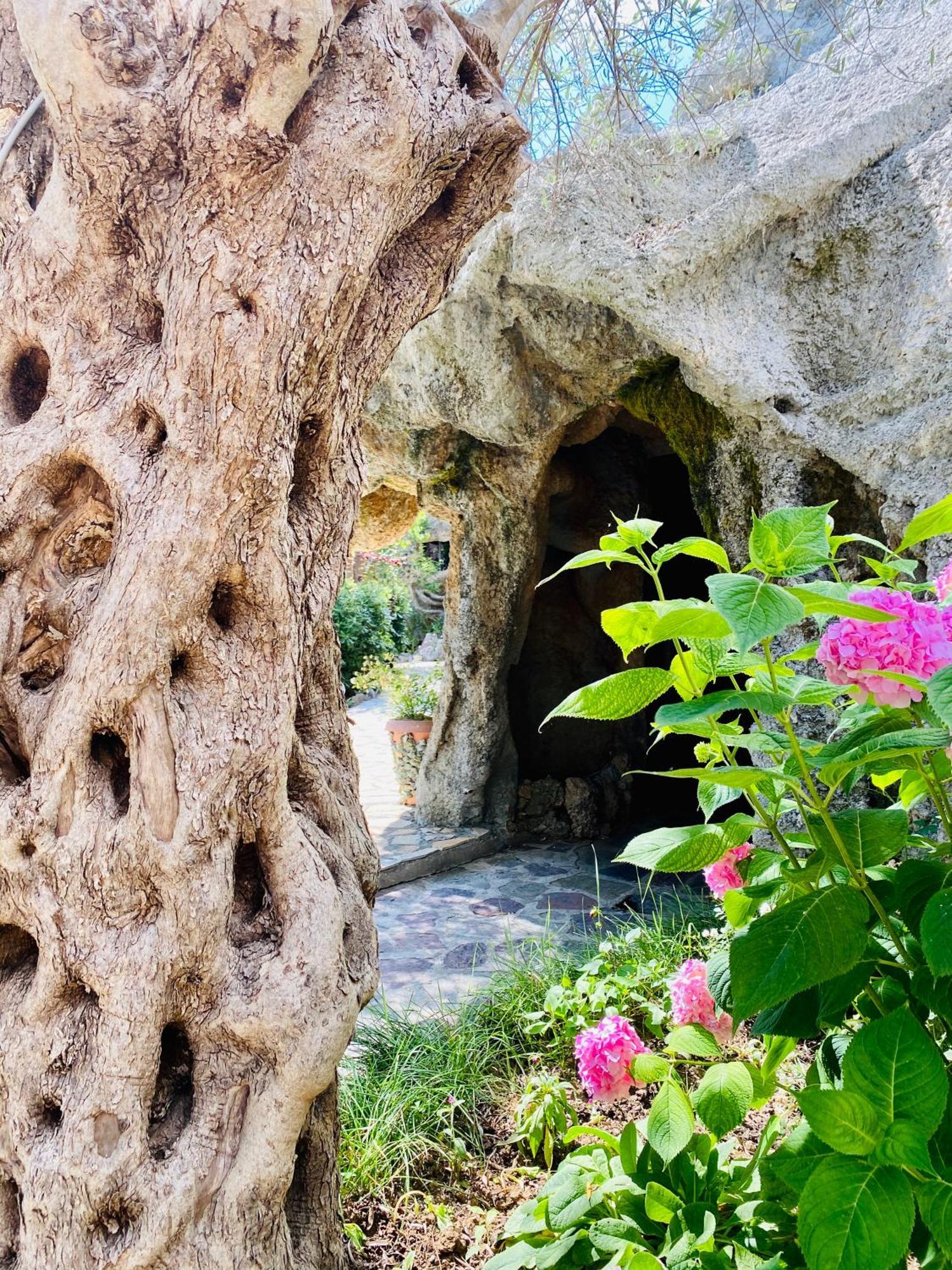 Kompleksi Turistik Dea Mjede Kültér fotó